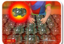 杂烩饭、木乃伊