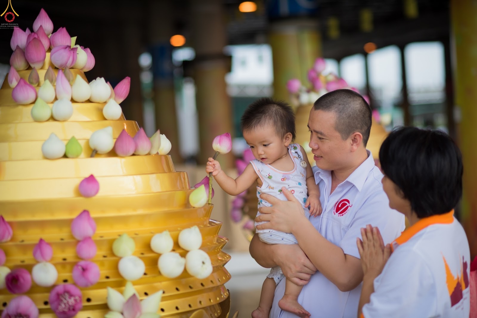 莲花供佛、虔诚佛教徒、泰国信仰、茉莉花、静心、法喜、佛塔 (11)
