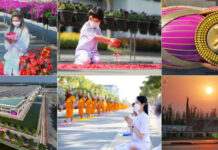 分享16日第四次 泰国一千多位比丘佛法巡礼头陀行 如亲临现场感受庄严和虔诚信仰 愿所见之人皆受益