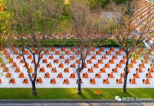 泰国1000多位比丘行头陀 迎来美好2022年 让我们一起分享 同沾法喜 共享法益